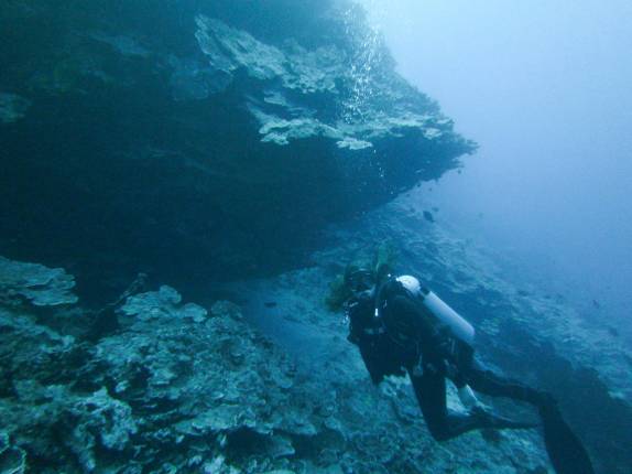 Examinando uma toca durante mergulho em Honaunau Bay, ao sul de Kona, na Big Island, no Havaí
